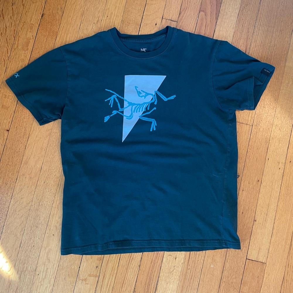 Vintage Arc’teryx T-shirt (M)